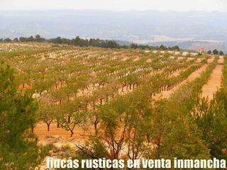 Finca rústica a Casas - Ibáñez. Finca en venta 900 has. almendros caza mayor en albacete