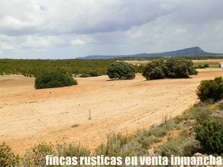 Finca rústica a Bonete. Finca en venta 203 has. labor secano monte próxima a bonete (alb