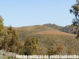 Finca rústica a Pechina. Finca en venta 500 has. caza menor a 20 km. de almeria