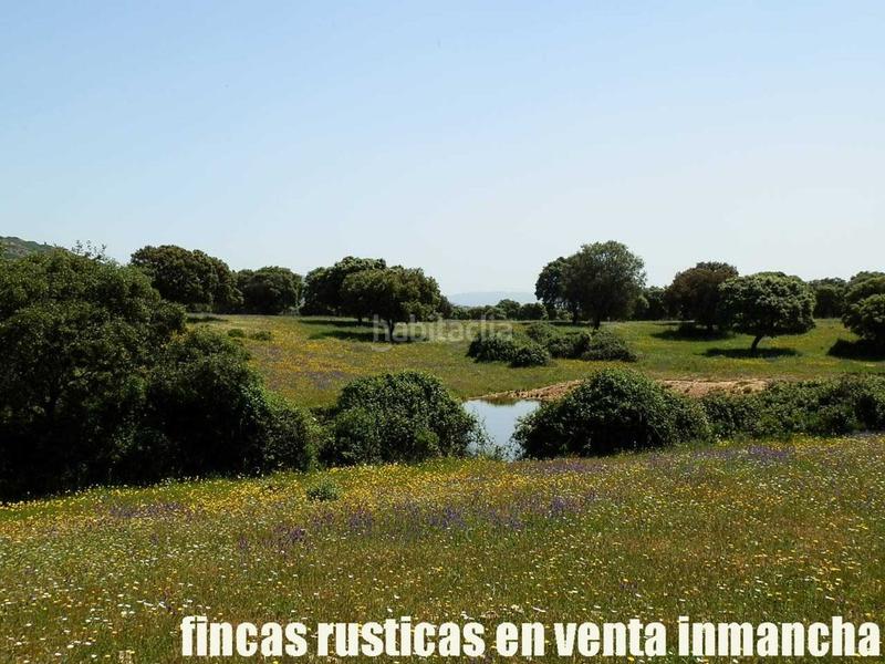 Foto 0edf280d-c9fb-44bd-a631-b061d170a44b. Finca rústica a Almadén