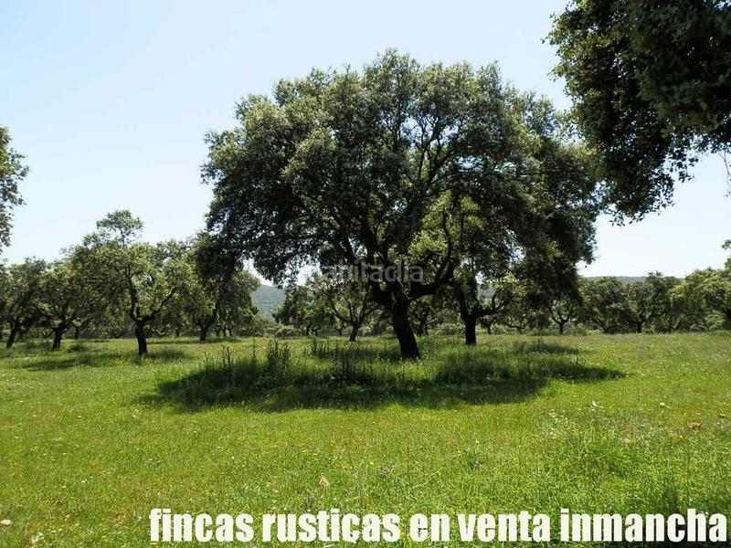 Foto 21029313-687d-46f5-a0f6-712ad032f94d. Finca rústica a Almadén