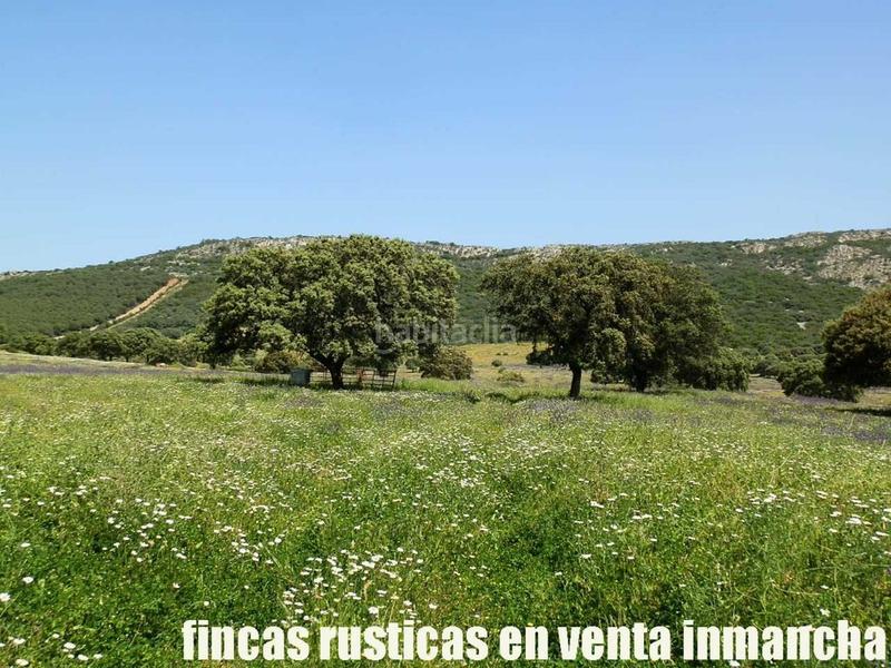 Foto 56d1789e-b3b9-4f86-8927-9b649018faaf. Finca rústica a Almadén