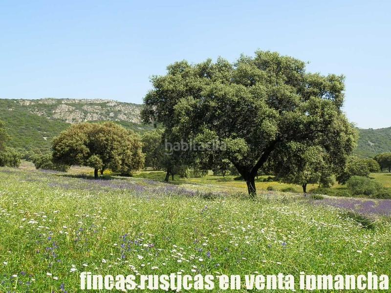 Foto 579d4ff9-218b-4f4a-9b7b-da1039787eca. Finca rústica a Almadén