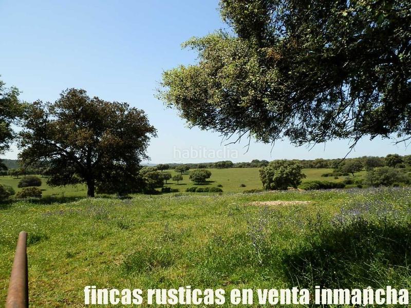 Foto 6e5f861c-8bb6-49f8-ae72-a7981103a8cf. Finca rústica a Almadén