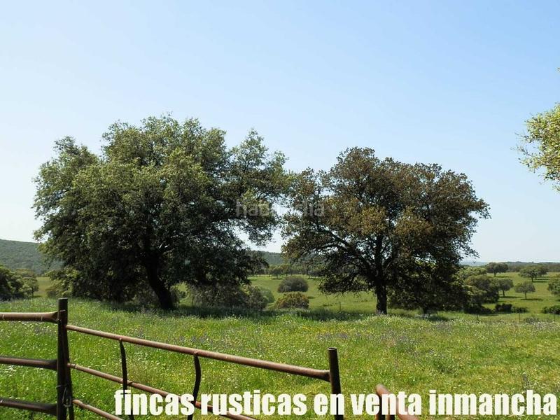 Foto 8a5458c6-98f4-4f92-9780-c9abe99f6c42. Finca rústica a Almadén