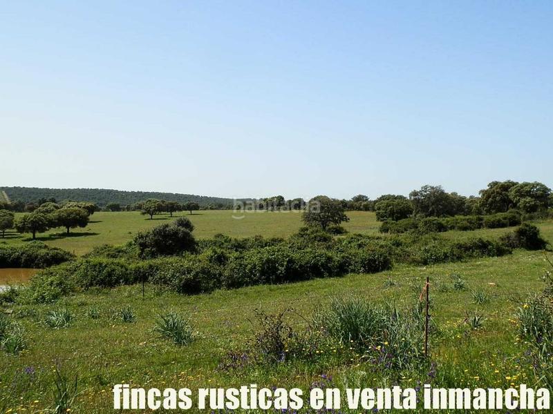 Foto 8ab3c772-41c2-4681-ac36-38f87ccd6bbf. Finca rústica a Almadén