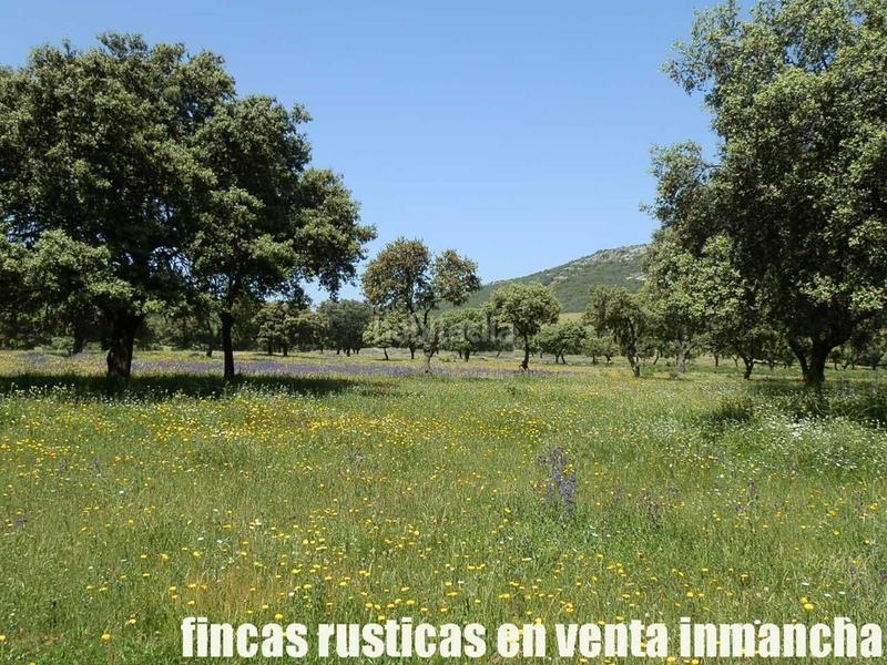 Foto 99adbf08-900b-49b4-b038-5b5415a5f188. Finca rústica a Almadén