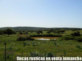 Finca rústica a Almadén. Finca en venta 265 has labor ganadera en almadén ciudad real