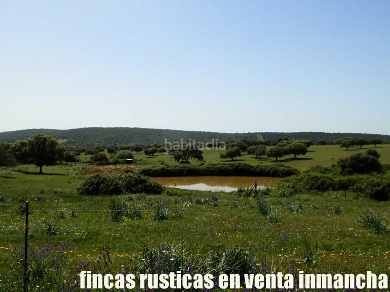 Foto 9f170b22-83a7-401d-9d32-92ea2658ae14. Finca rústica a Almadén