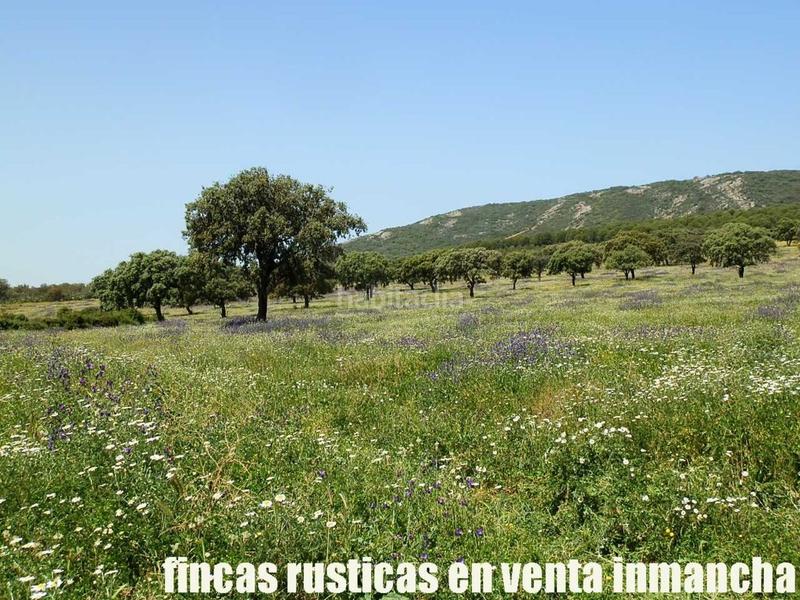 Foto ba61e635-baba-4fa8-be44-f0c80f154a2c. Finca rústica a Almadén