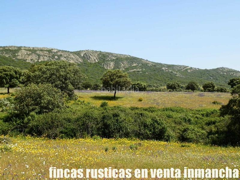Foto bdebbd0a-f9ac-48e3-a396-f2c1bcebd0a4. Finca rústica a Almadén