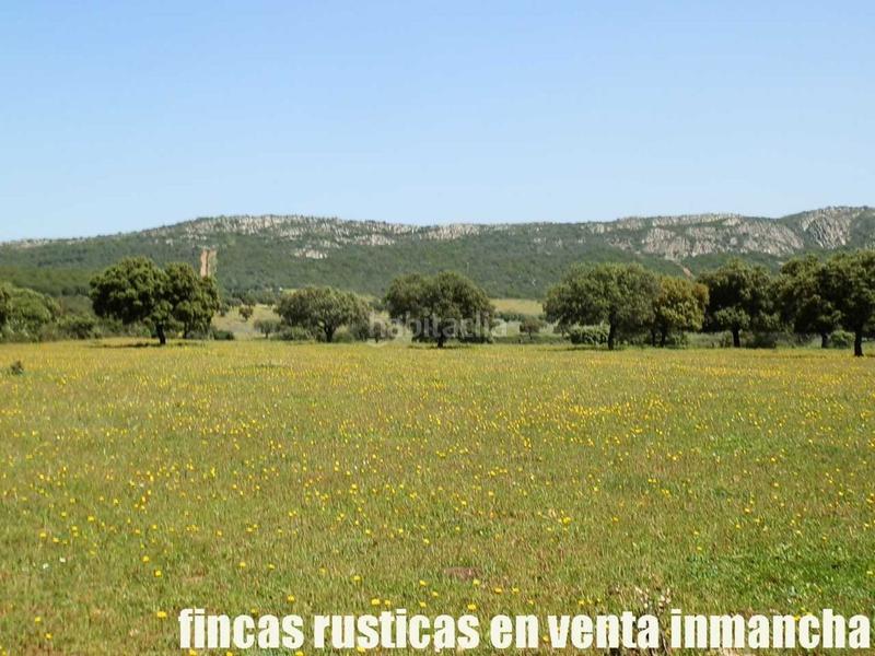 Foto d98ca52e-2ae3-4b6b-9a81-c4803beae684. Finca rústica a Almadén