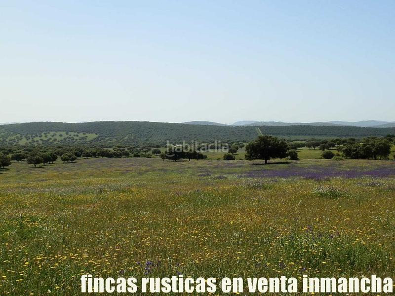 Foto eb2e40fb-50b3-4e61-ab9d-d705b6c25093. Finca rústica a Almadén