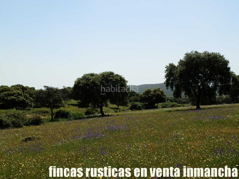 Foto f4cf9bb0-7e68-4ad4-b237-7b19f8ffc90d. Finca rústica a Almadén