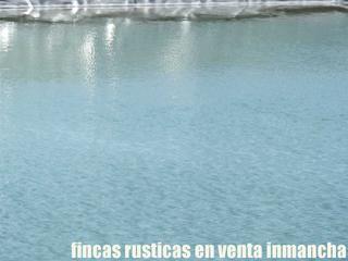 Rural plot in Yecla. Finca en venta olivar riego balsa en murcia