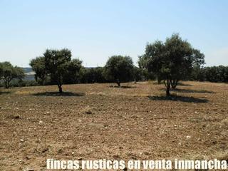 Propriété à Alcocer. Finca en venta 118 has. recreo a 130 km. de madrid en guadalajar