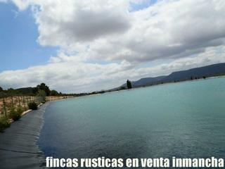 Finca rústica a Chinchilla de Monte - Aragón. Finca en venta 155 has. viña-olivar-almendros- labor riego albac