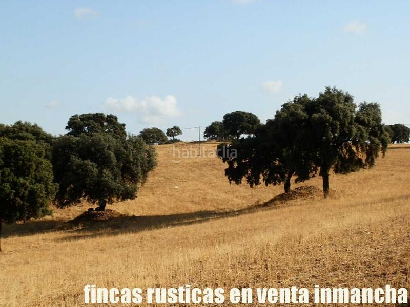 Foto 04f00bbb-77f3-478f-be79-d7bc6f8607f8. Finca rústica finca en venta 2.665 has labor riego caza mayor y menor en Ciudad Real