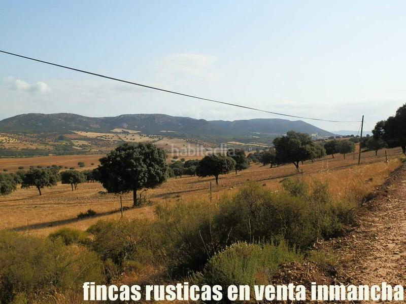 Foto 0f2e16ce-23a2-4e72-bcc3-5bb68d02baec. Finca rústica finca en venta 2.665 has labor riego caza mayor y menor en Ciudad Real