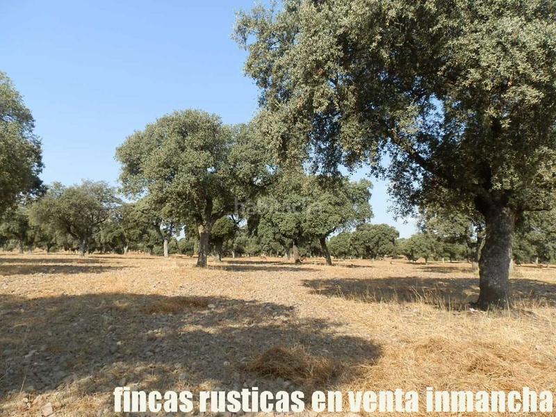 Foto 1e6f4809-7915-4ffe-a51e-e2518ada9e70. Finca rústica finca en venta 2.665 has labor riego caza mayor y menor en Ciudad Real