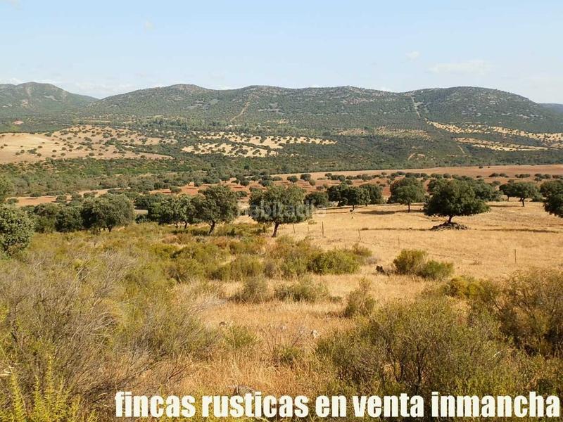 Foto 20de91ab-3313-40ca-a328-60a8bde620f8. Finca rústica finca en venta 2.665 has labor riego caza mayor y menor en Ciudad Real