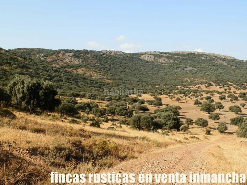 Foto 2a7e5c78-33d0-423e-a1cc-7e8781def90f. Finca rústica finca en venta 2.665 has labor riego caza mayor y menor en Ciudad Real