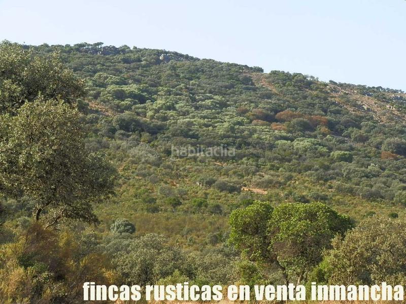 Foto 30a79d47-75d3-4d58-9750-38317c7b2653. Finca rústica finca en venta 2.665 has labor riego caza mayor y menor en Ciudad Real