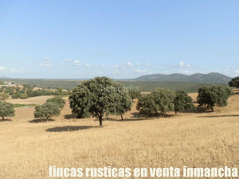 Foto 402cf68f-735c-4803-be3a-b284aa20fe76. Finca rústica finca en venta 2.665 has labor riego caza mayor y menor en Ciudad Real