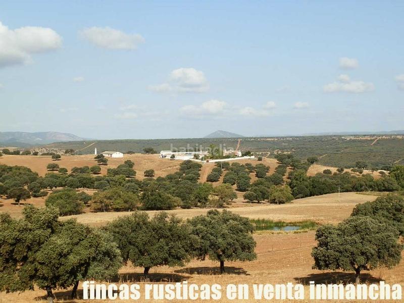 Foto 5cf384d0-84df-4549-a6d6-330653af6097. Finca rústica finca en venta 2.665 has labor riego caza mayor y menor en Ciudad Real