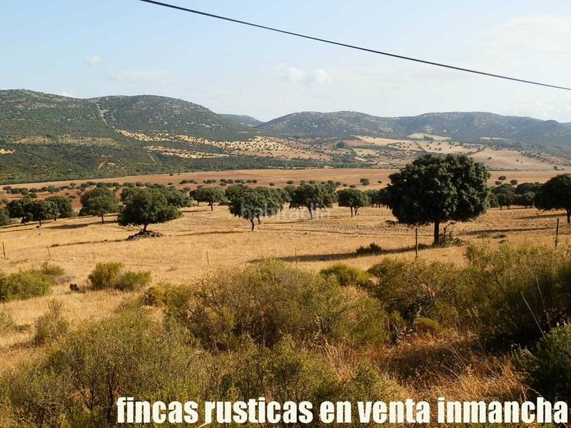 Foto 6aa2ef05-4c2c-4a07-a8f7-7ed1afb7fa1f. Finca rústica finca en venta 2.665 has labor riego caza mayor y menor en Ciudad Real
