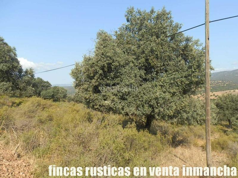Foto 6bf8ef3f-9627-4b54-90da-3e67d9848bdd. Finca rústica finca en venta 2.665 has labor riego caza mayor y menor en Ciudad Real