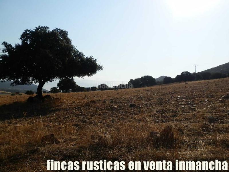 Foto 78c7a0bc-129f-4fd1-bbf6-a1211086abd9. Finca rústica finca en venta 2.665 has labor riego caza mayor y menor en Ciudad Real