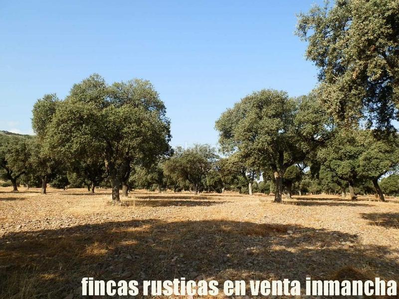 Foto 7e5ee833-9304-4365-8fc5-627b95834a27. Finca rústica finca en venta 2.665 has labor riego caza mayor y menor en Ciudad Real