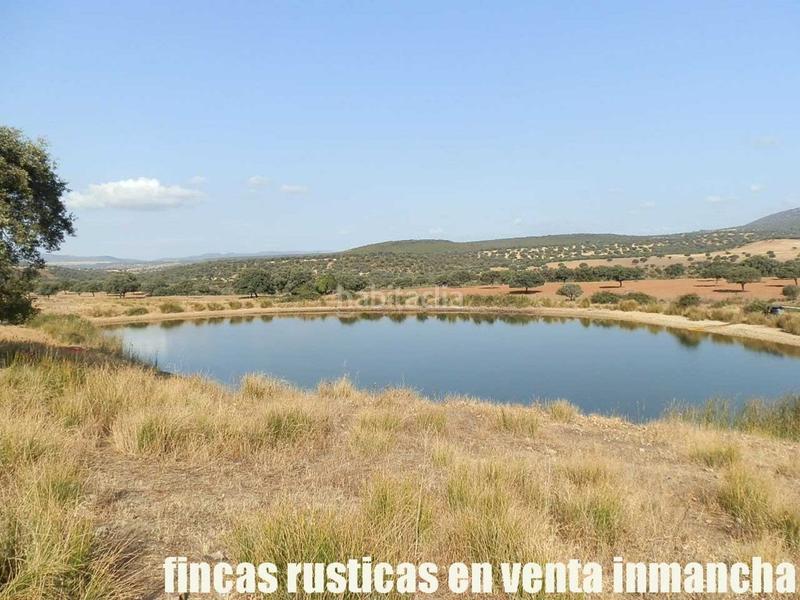 Foto 84d2b1a3-3983-4e7e-95c6-0b3a6b570b11. Finca rústica finca en venta 2.665 has labor riego caza mayor y menor en Ciudad Real