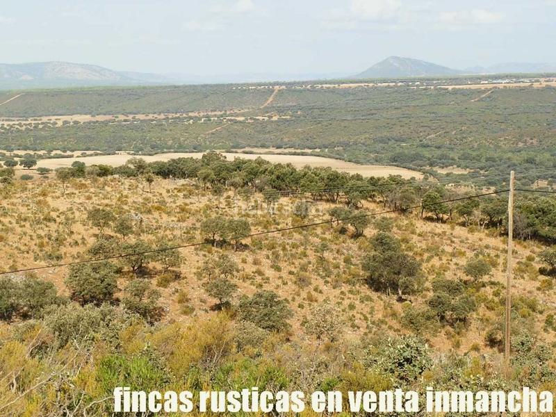 Foto 97889c03-0a42-475e-9e3d-f1caaa52a6a1. Finca rústica finca en venta 2.665 has labor riego caza mayor y menor en Ciudad Real