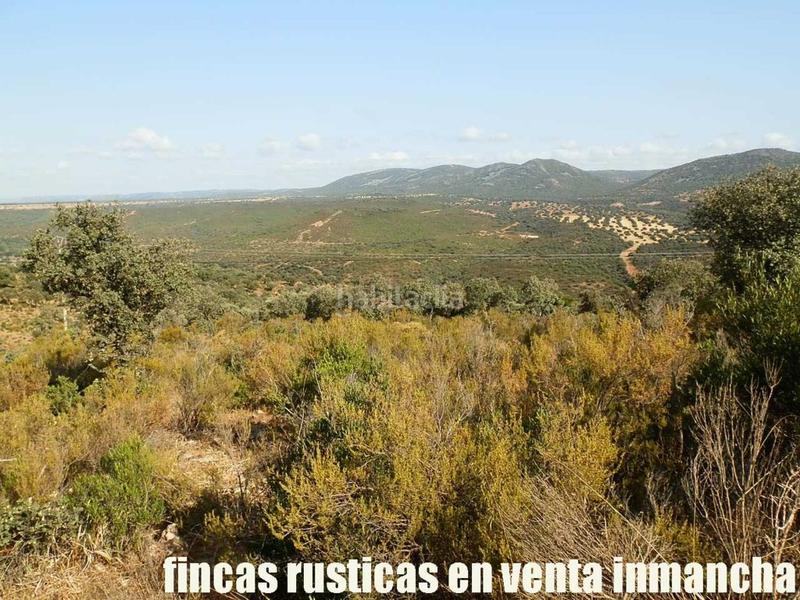 Foto adfeba36-a2ec-4244-97b4-cbf7a4609fe2. Finca rústica finca en venta 2.665 has labor riego caza mayor y menor en Ciudad Real