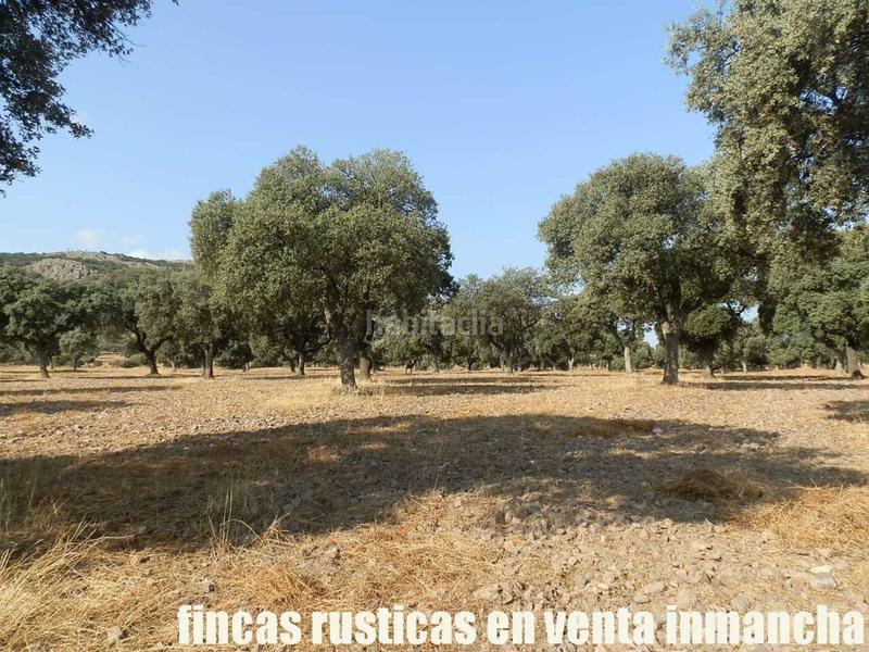 Foto b5794a46-3481-4945-989f-fbaadb9c45cb. Finca rústica finca en venta 2.665 has labor riego caza mayor y menor en Ciudad Real