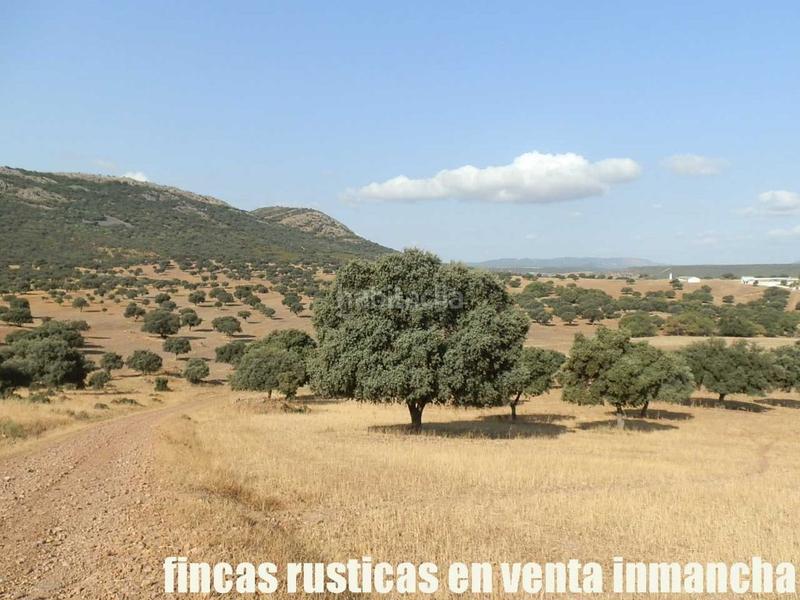 Foto bda690c0-09a8-43ab-98e3-3f088aee9802. Finca rústica finca en venta 2.665 has labor riego caza mayor y menor en Ciudad Real