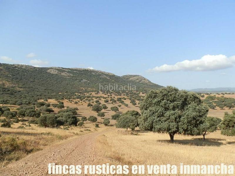 Foto c261cf90-f54d-46f9-81a3-f0a62f39b82d. Finca rústica finca en venta 2.665 has labor riego caza mayor y menor en Ciudad Real