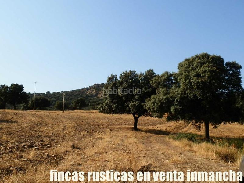 Foto cf67abe8-80e9-4022-9fe1-cce58207c655. Finca rústica finca en venta 2.665 has labor riego caza mayor y menor en Ciudad Real