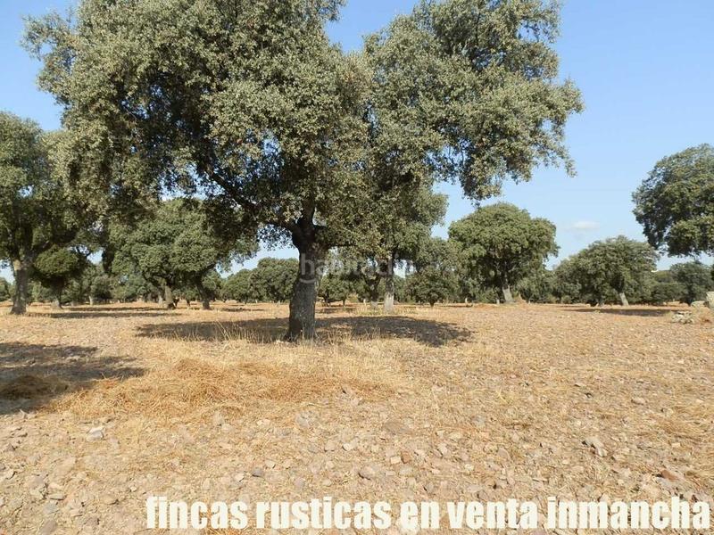 Foto d745595d-b8fa-49e7-b7de-722312d8dc63. Finca rústica finca en venta 2.665 has labor riego caza mayor y menor en Ciudad Real