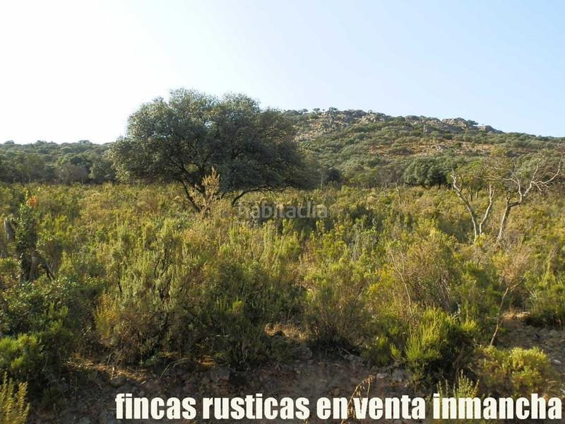 Foto d92f5bbd-d7f9-4d82-8948-54a0ad433ac7. Finca rústica finca en venta 2.665 has labor riego caza mayor y menor en Ciudad Real
