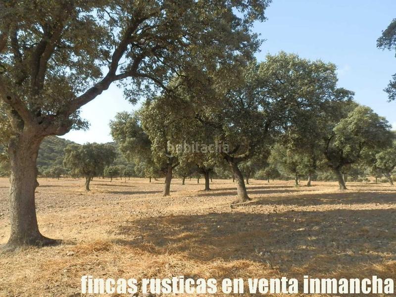 Foto e0dfdb8a-fc0c-4c11-81cd-73afd2fa4396. Finca rústica finca en venta 2.665 has labor riego caza mayor y menor en Ciudad Real