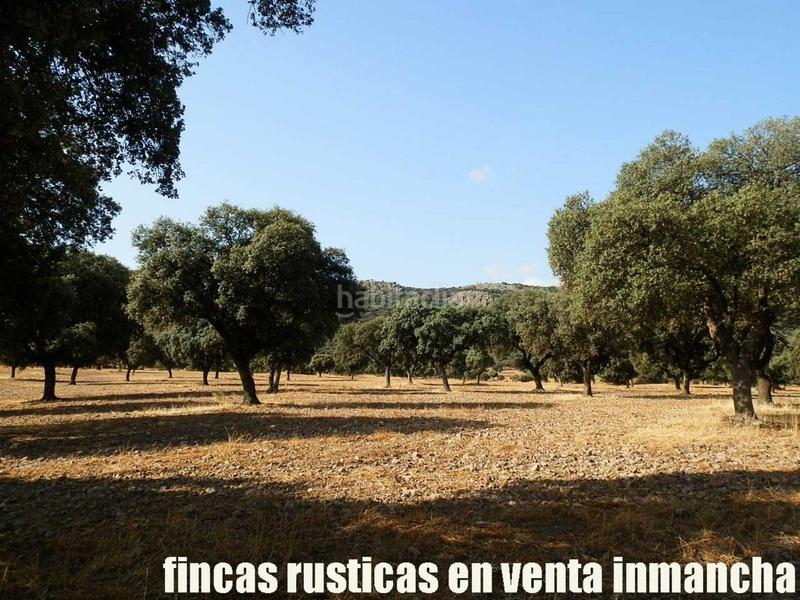 Foto e9496d70-f6e9-4838-961e-d14c1bca55c0. Finca rústica finca en venta 2.665 has labor riego caza mayor y menor en Ciudad Real