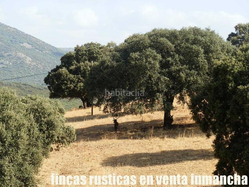 Foto ef034145-d2d1-46a8-8df7-3df53ab45593. Finca rústica finca en venta 2.665 has labor riego caza mayor y menor en Ciudad Real