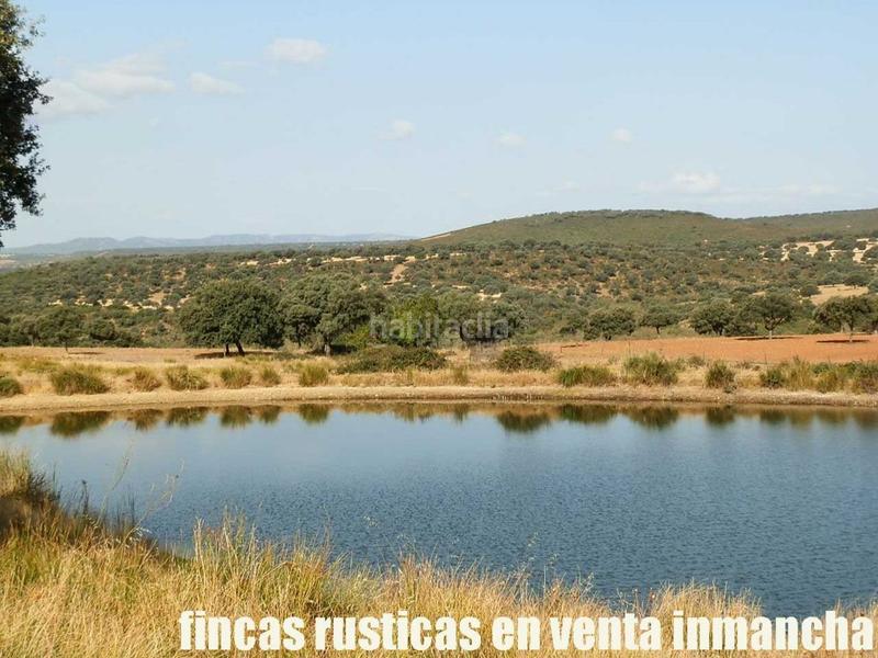 Foto ff1cc63b-093f-45ba-a56d-0bfbc2fd1e81. Finca rústica finca en venta 2.665 has labor riego caza mayor y menor en Ciudad Real