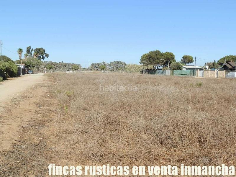 Foto 59a0fbc1-0eed-4112-85a1-a313ba27a08b. Finca rústica a Centro - La Costilla Rota