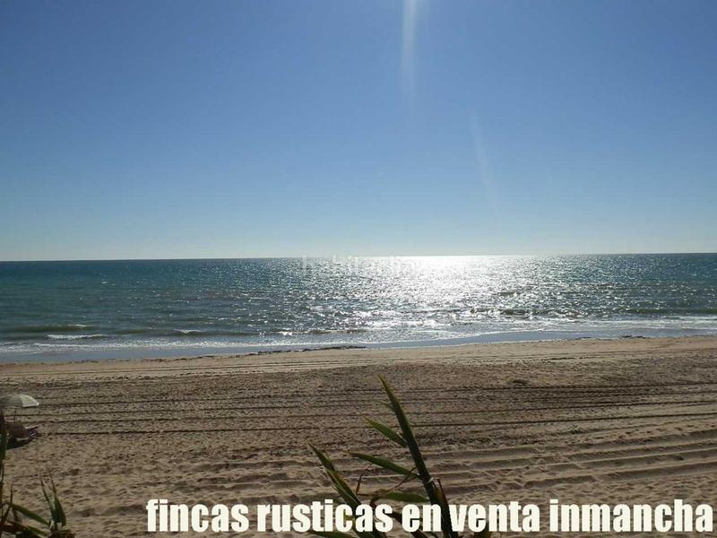 Foto 8bb350bf-fbd6-46c1-b7ad-3e7ae220c6f4. Finca rústica a Centro - La Costilla Rota