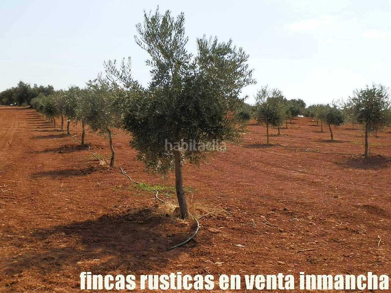 Foto 0d3efc69-7824-4316-b943-076c496f5e15. Landgut in Moral de Calatrava