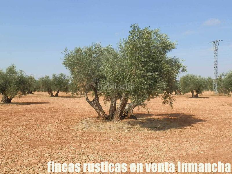 Foto 17ebce1f-24aa-430b-b00d-a502c6a2bc93. Landgut in Moral de Calatrava